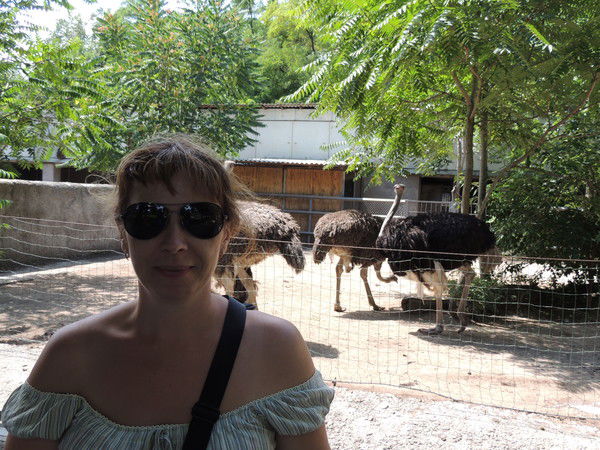 Елена Молодцова