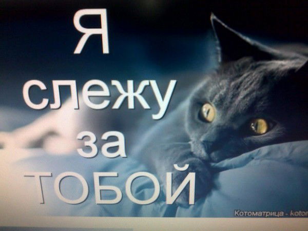 Ольга Гуляева