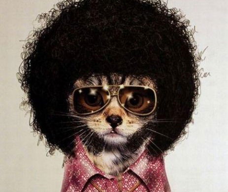 Сергей Ущиповский