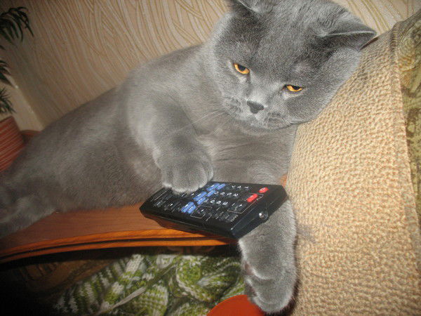 Максим Алексеев