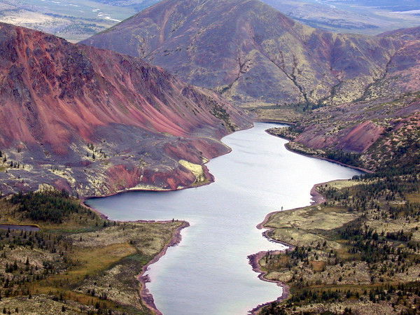 Владимир Мозголик