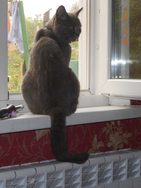 Надежда Емельянова