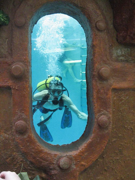 Сергей Жуков