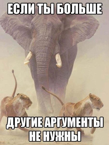 Антон Шляпников