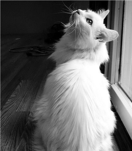 Ульяна Кузнецова