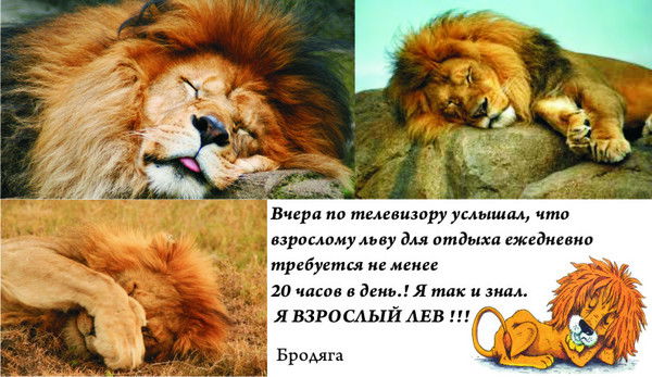 Бродяга - Странник