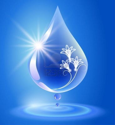 Владимир Миталев