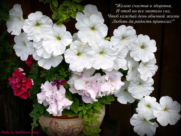 Лилия Хамидуллина