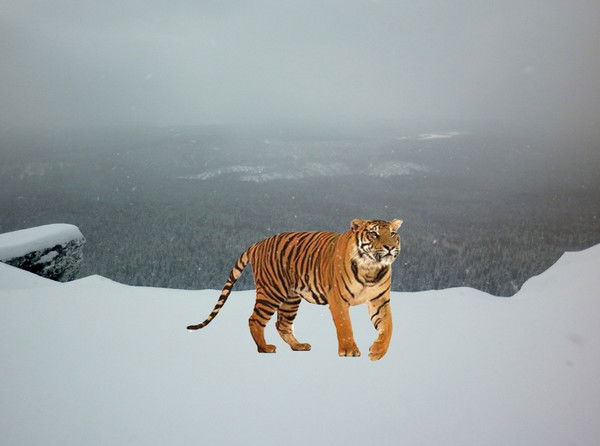 Кирилл Домрачев