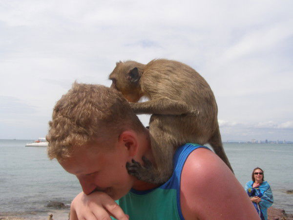 Илья Лысенко