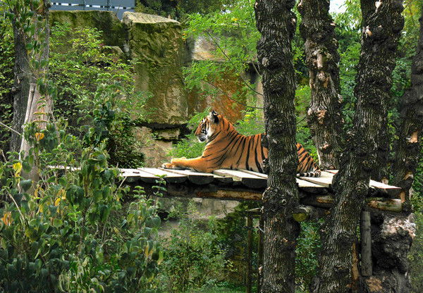 Андрей Миронов