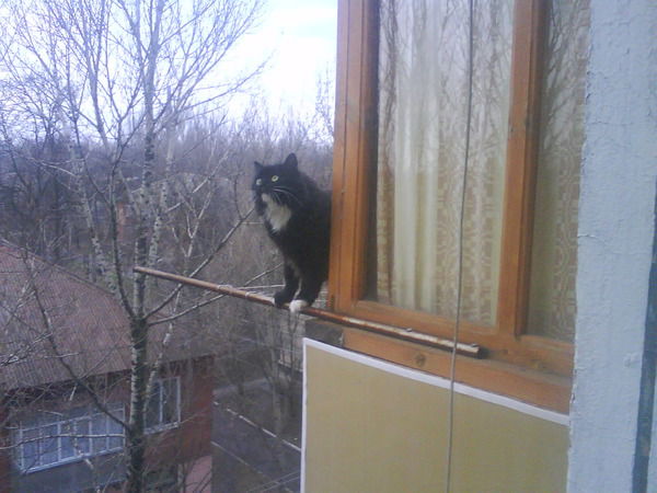 Александр Лебедь