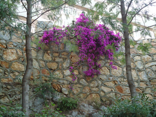 Светлана Лызлова