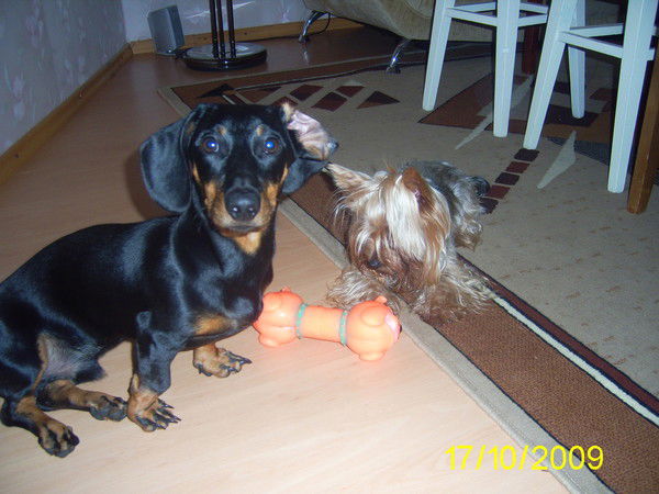 Ирина Калмыкова