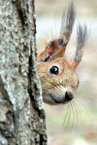 Татьяна Кулинич