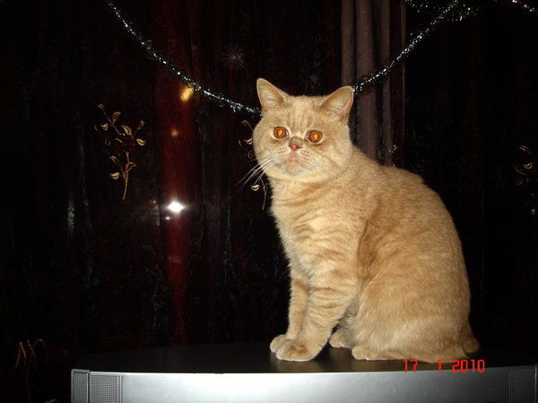 Наталья Потапова