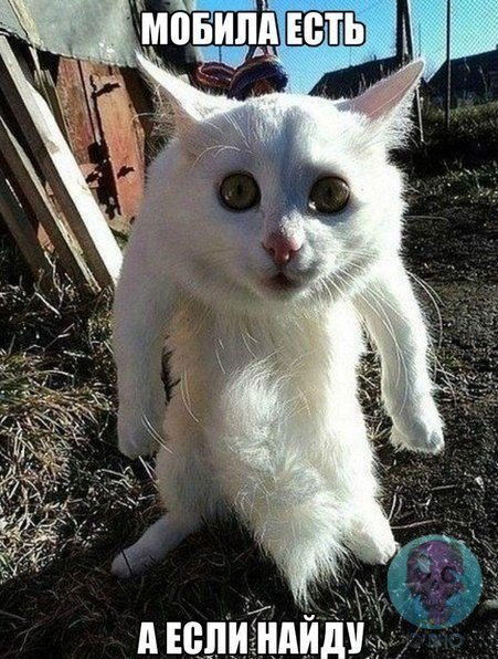 Светловодск Атб Цифротех