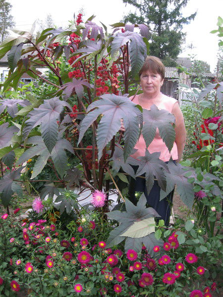 Галина Рябинина