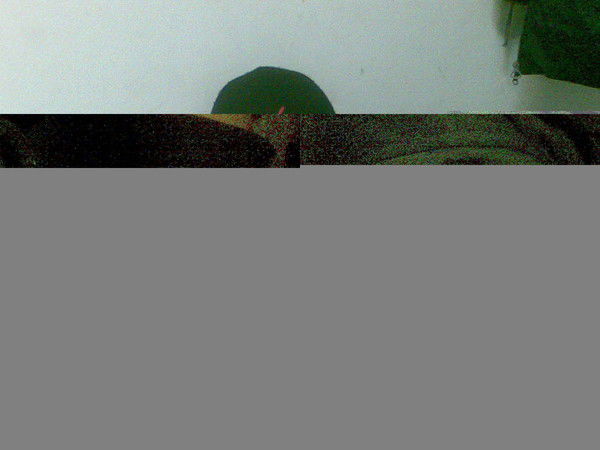 Алексей Горбачев