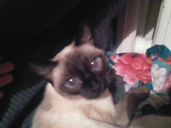 Наталия Александриенко (Кунакова)