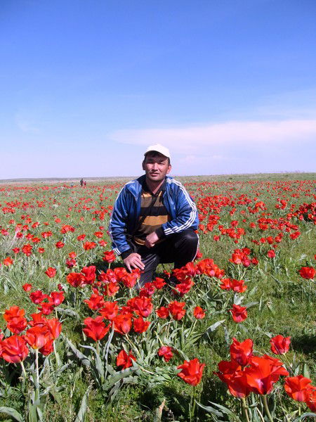 Канат Темирбеков