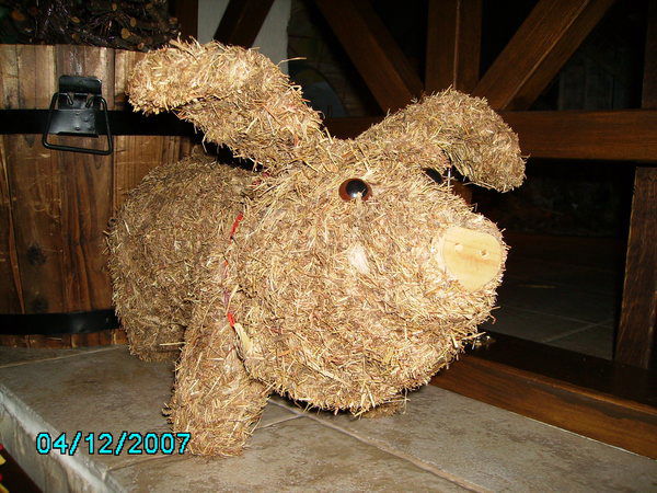 Елена Середа