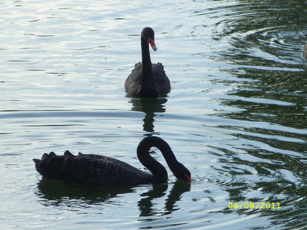 Татьяна Смагина