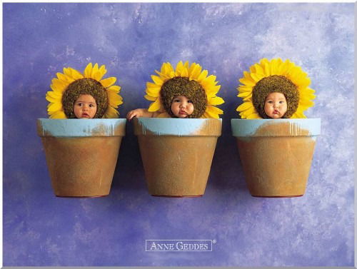 Айголек .......