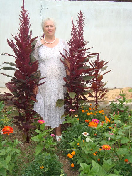 Нина Жирнова