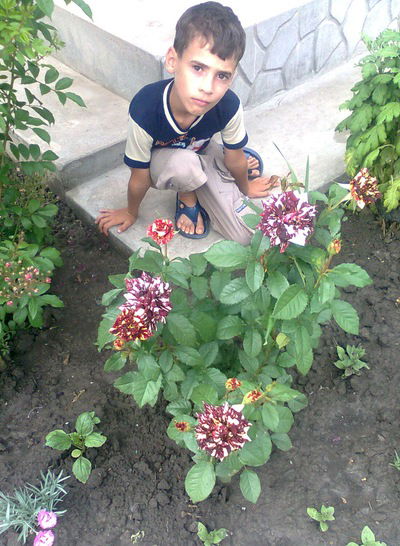 Иван Деордев