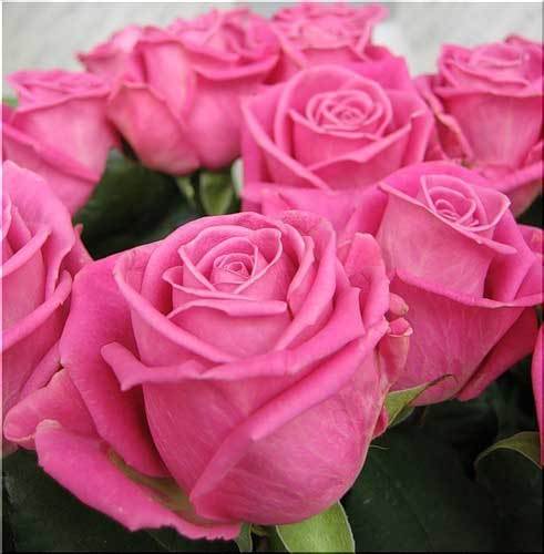 Разия Жакупова