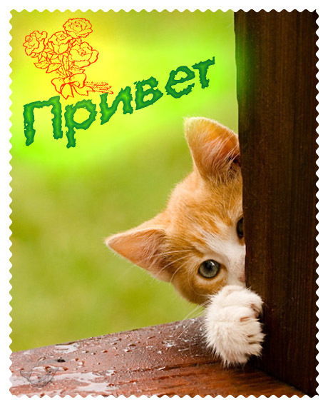 Нурбек Хайруллин