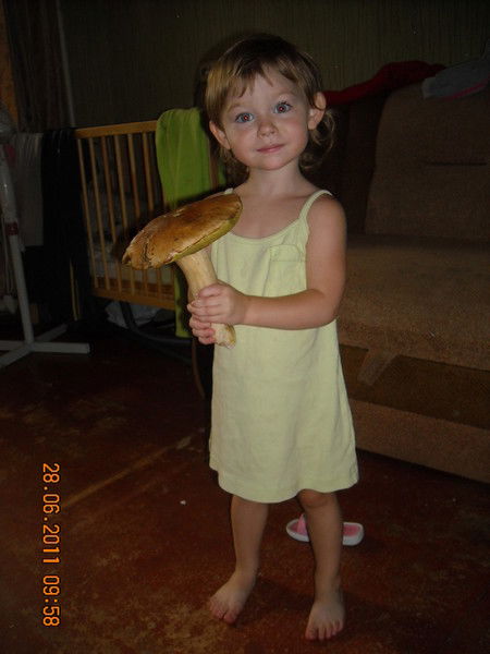 Виктор Кулинич