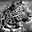 Настя !!!заверуха!!!