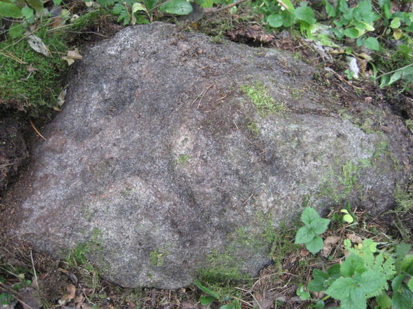 Сергей Мудревский