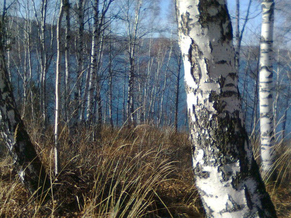 Галина Пластуненко