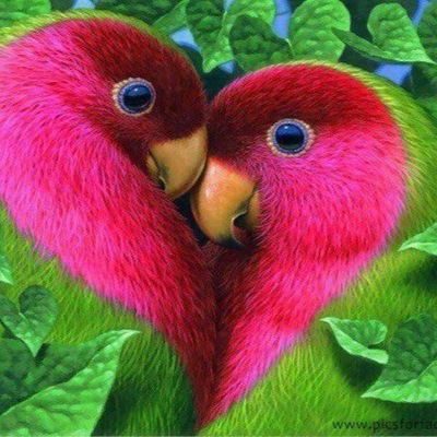 Ангелина Думская