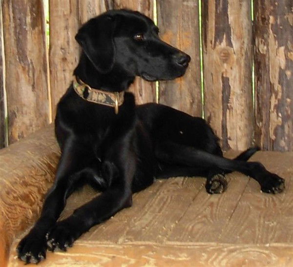 Татьяна Ураева