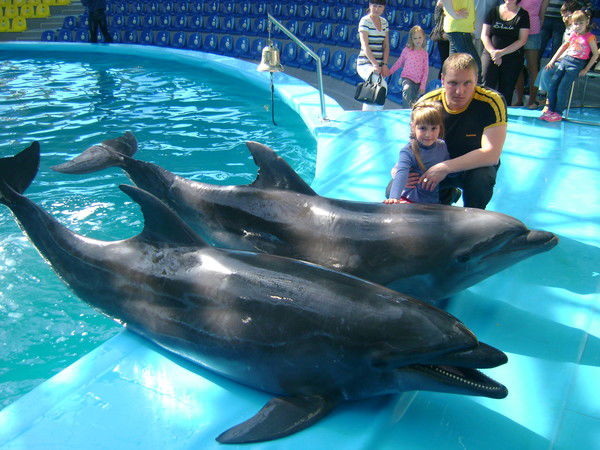 Сергей Позняков