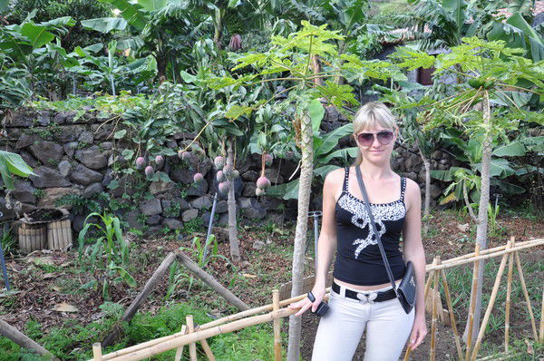 Вячеслав Фоменков