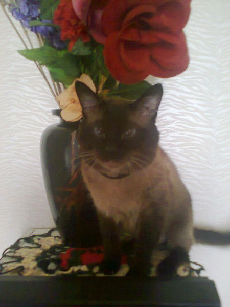 Натуся Подольская