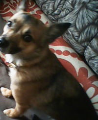 Роман Царыгин