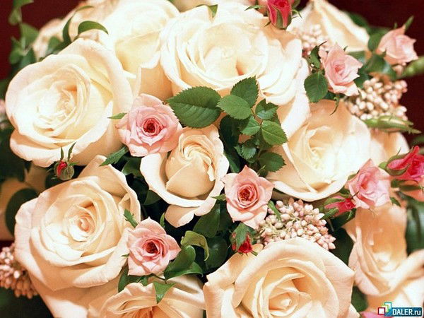 Оксана Бжихова