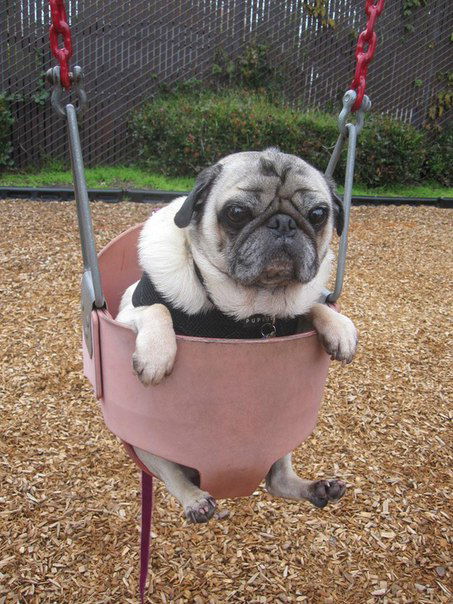 Катя Вознюк