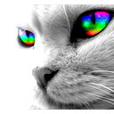 Никита Круть