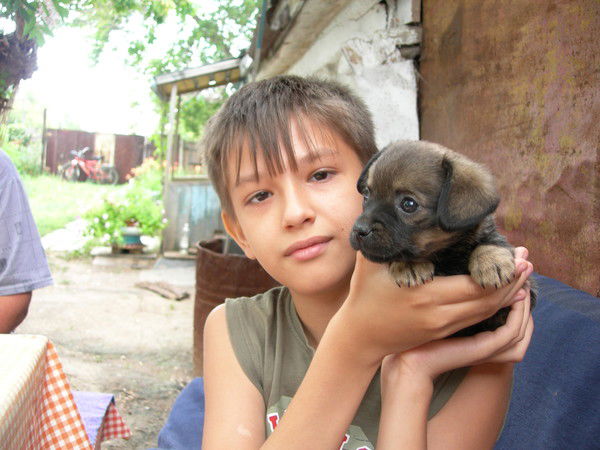 Клим Гартман