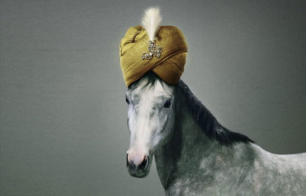 Евгений Бабанин