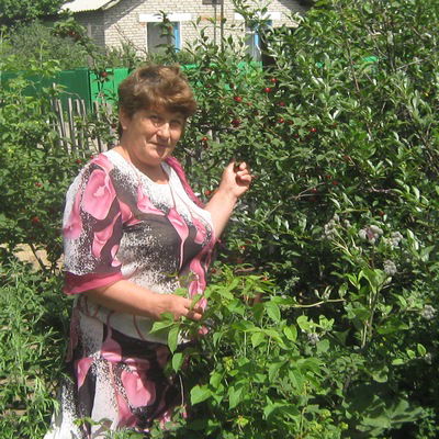 Нина Шейман