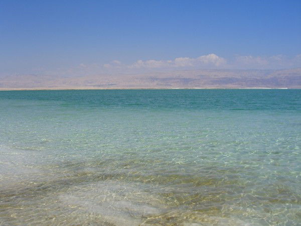 Неизвестно Неизвестно