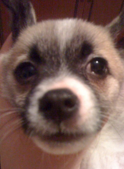 Данил Дятчин